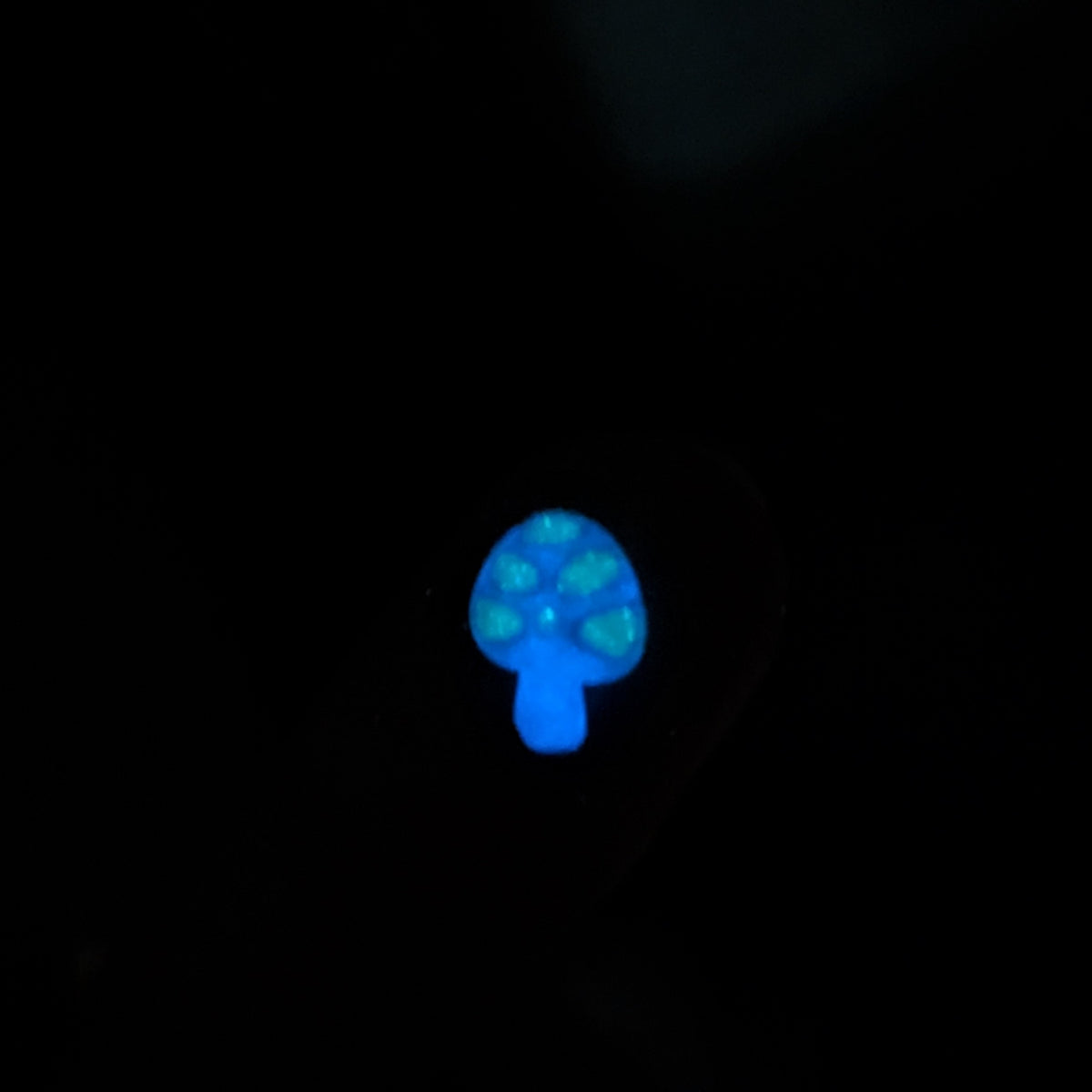 Magic Mushrooms The Shaker Maker