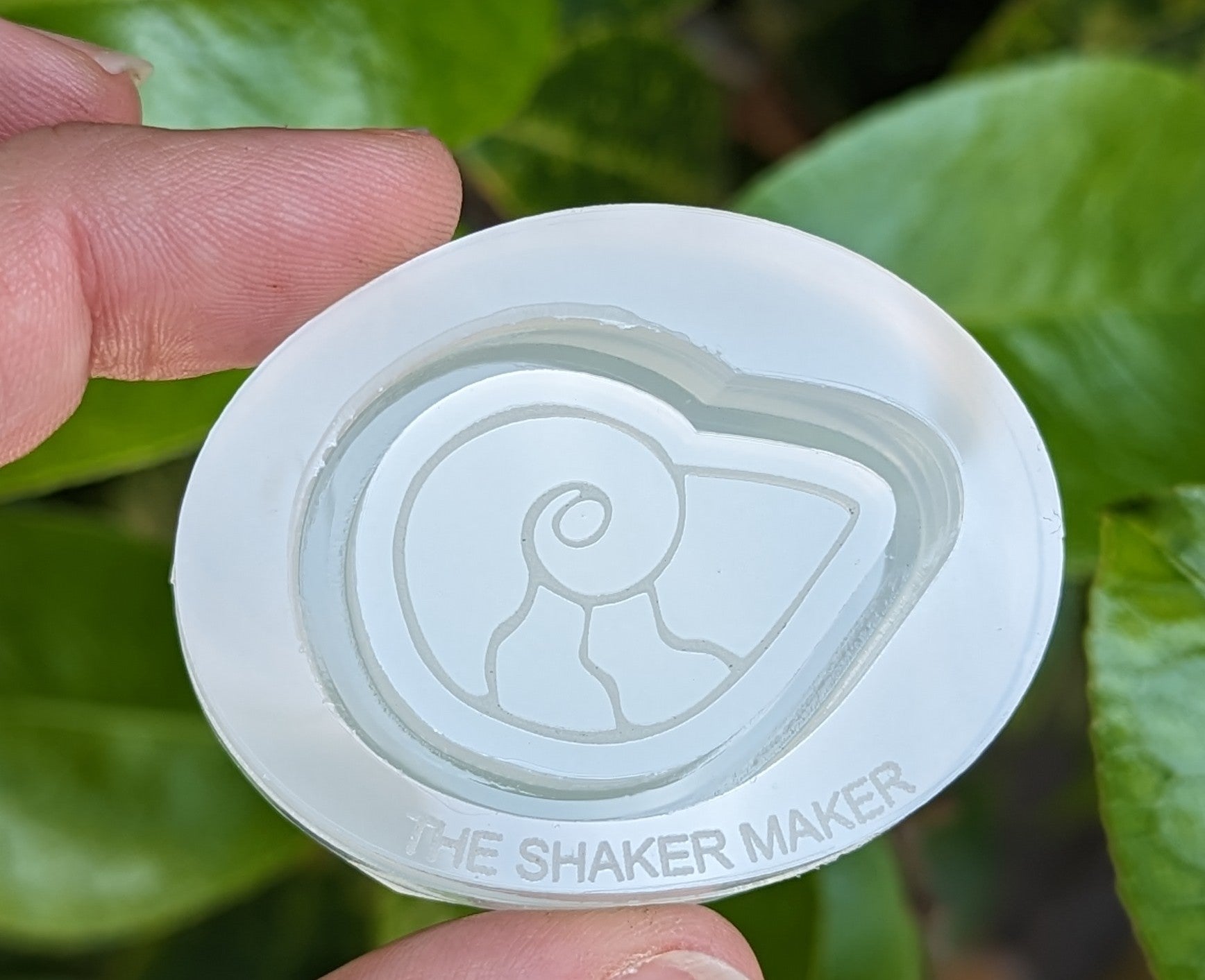 Magic Nautilus Shell Magic Nautilus Shell Shaker Mold – The Shaker Maker