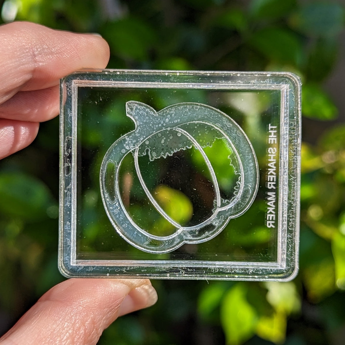 Pumpkin Shaker Mold The Shaker Maker